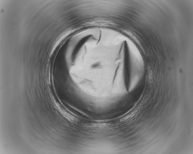 X0000058121131200510171303