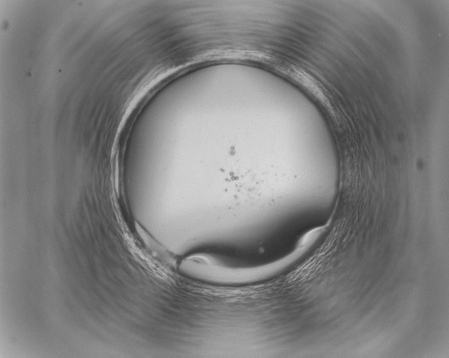 X0000058121132200510171303