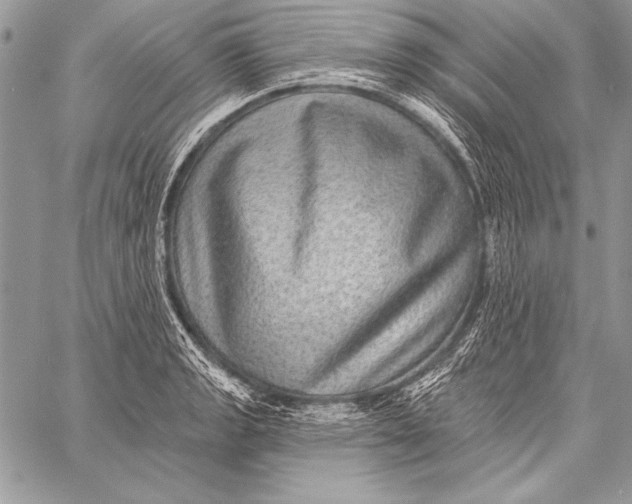 X0000058121133200510171303