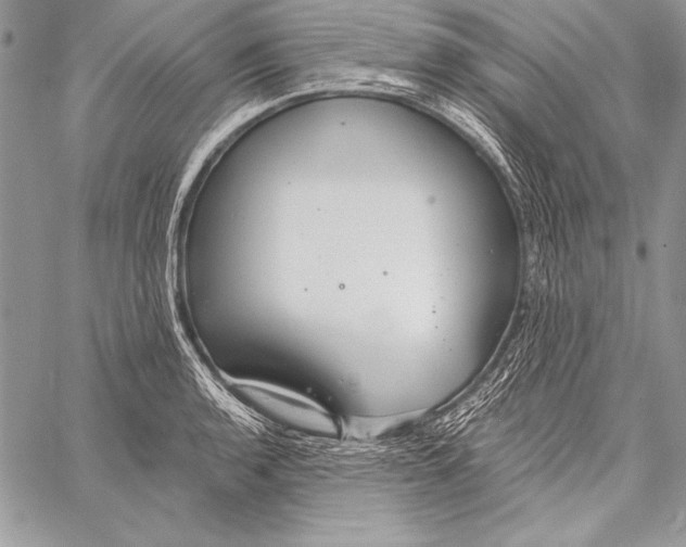 X0000058121136200510171303