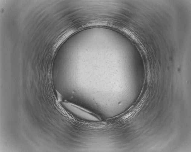 X0000058121137200510171303