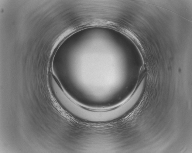 X0000058121138200510171303