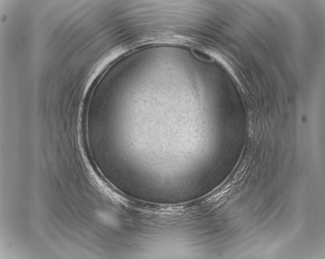 X0000058121139200510171303