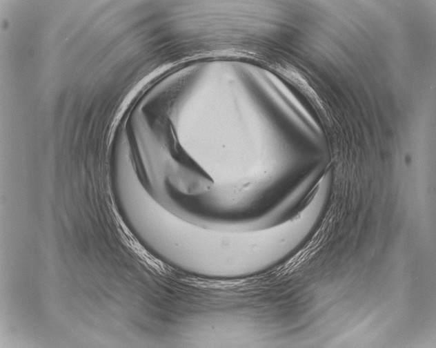 X0000058121140200510171303