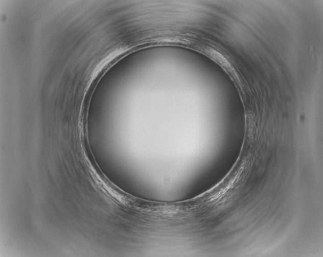 X0000058121141200510171303