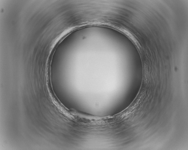 X0000058121142200510171303