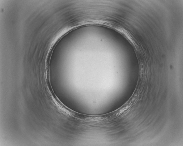 X0000058121143200510171303