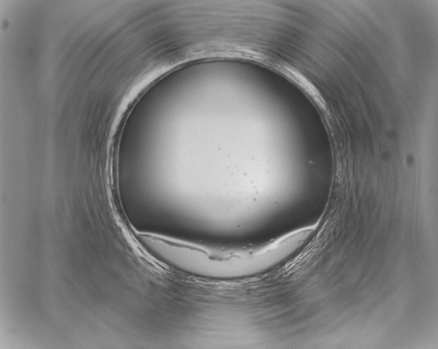 X0000058121144200510171303