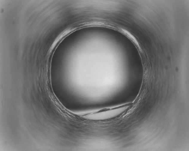 X0000058121146200510171303