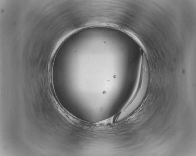 X0000058121148200510171303