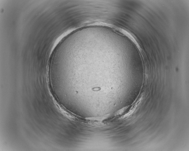 X0000058121149200510171303