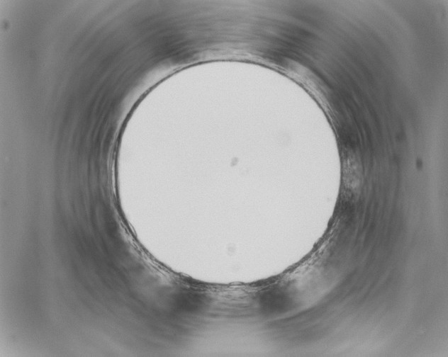 X0000058121150200510171303