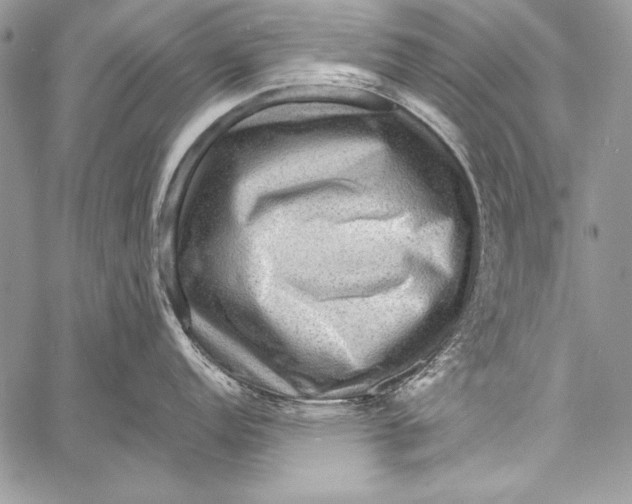 X0000058121152200510171304