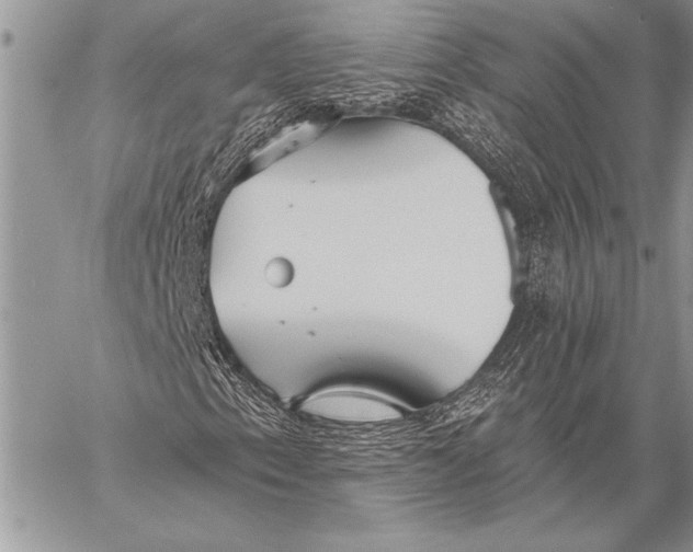 X0000058121153200510171303