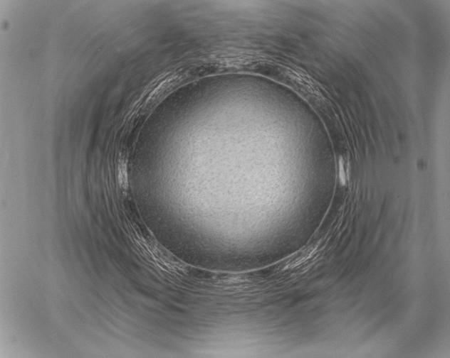 X0000058121155200510171303