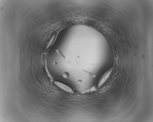 X0000058121156200510171303