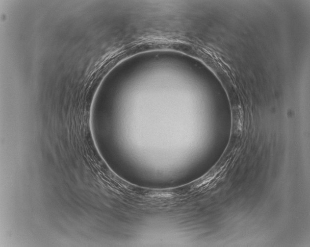 X0000058121157200510171303