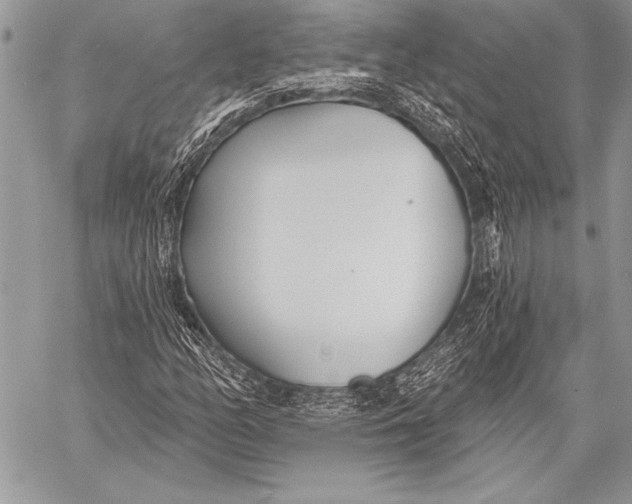 X0000058121158200510171303