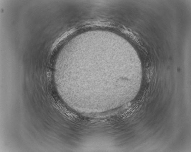 X0000058121159200510171303