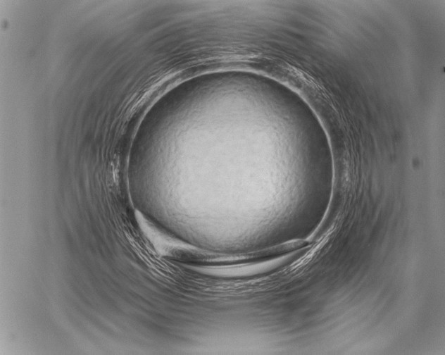 X0000058121161200510171303