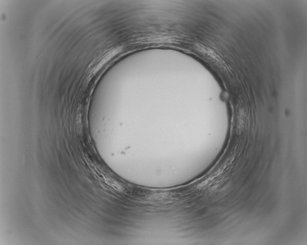 X0000058121162200510171303