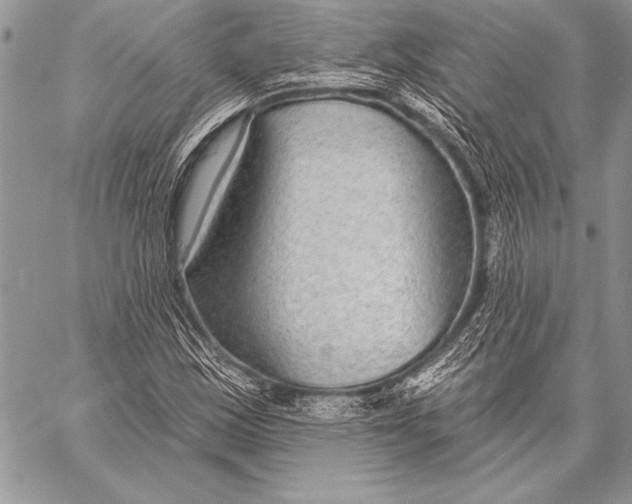 X0000058121163200510171303