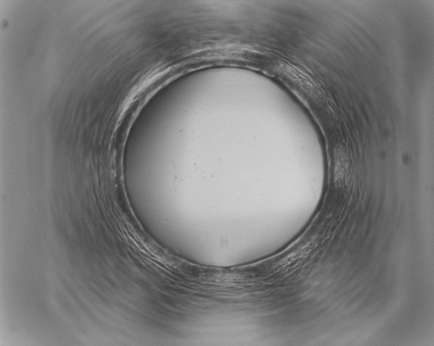 X0000058121164200510171303