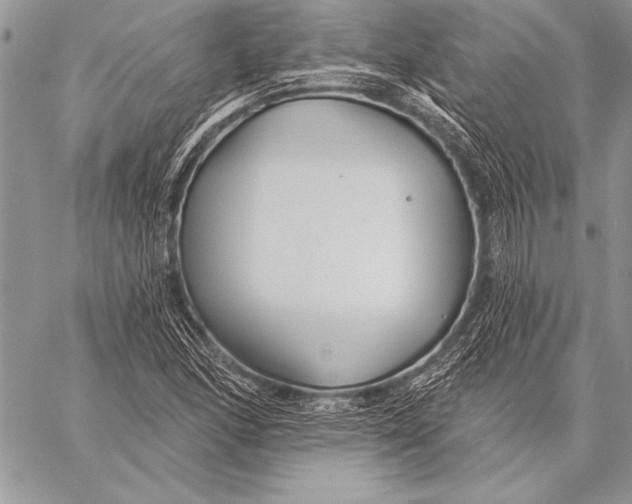 X0000058121166200510171302