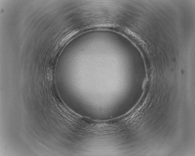 X0000058121169200510171302