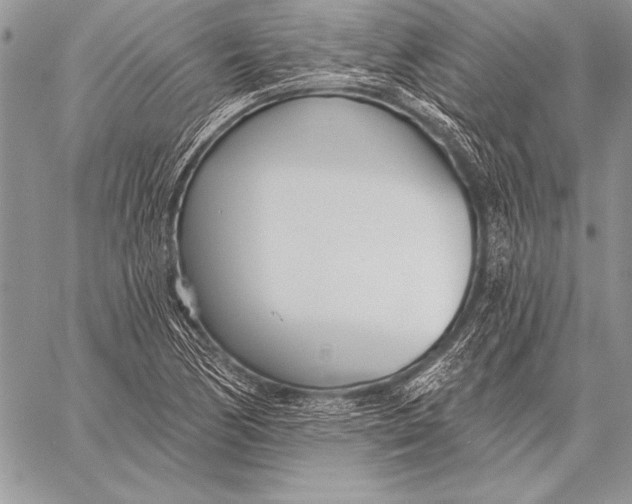 X0000058121170200510171302