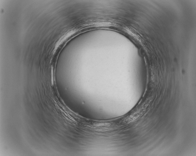 X0000058121171200510171302