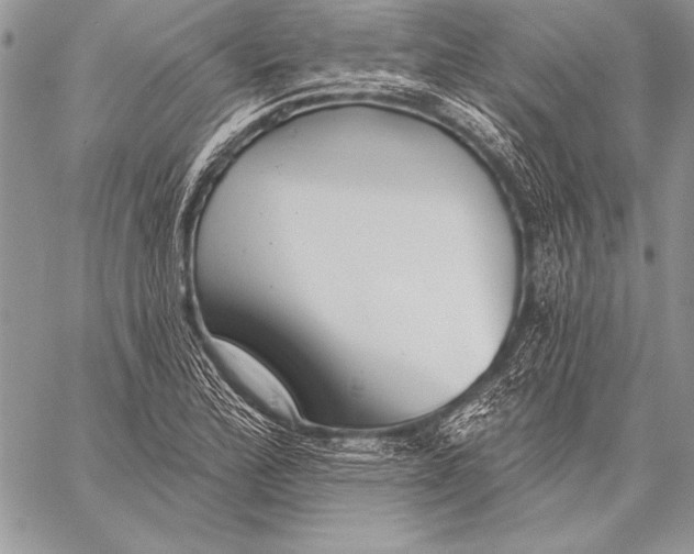 X0000058121172200510171302