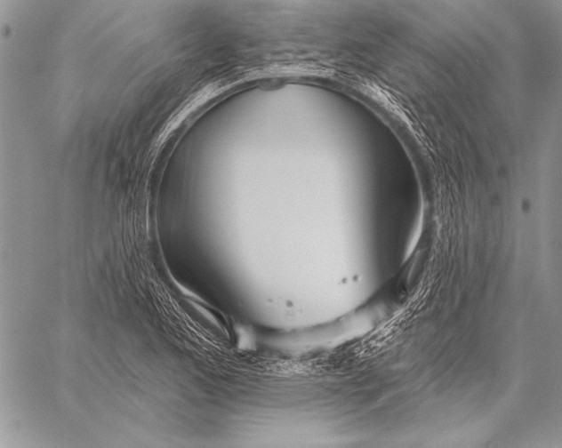 X0000058121173200510171302