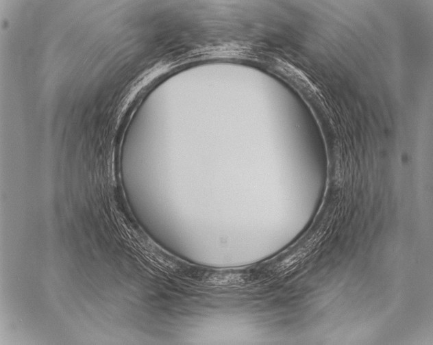 X0000058121174200510171302