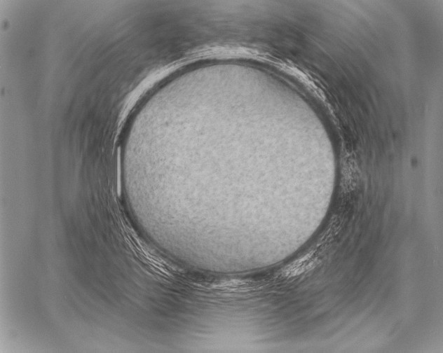 X0000058121175200510171302