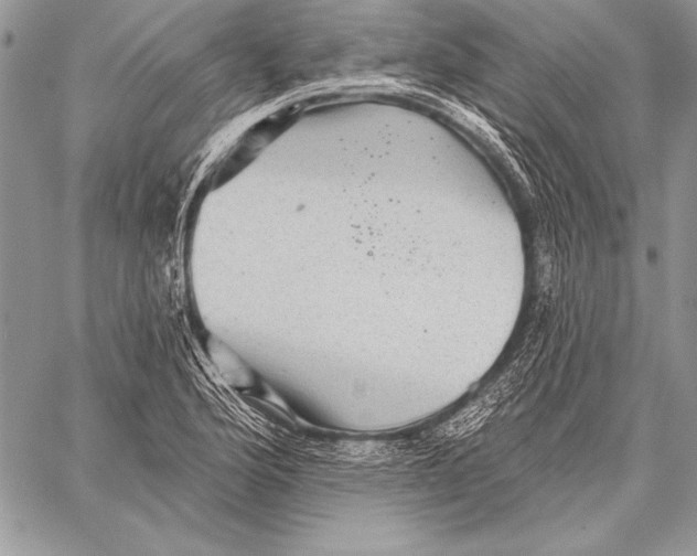 X0000058121176200510171302