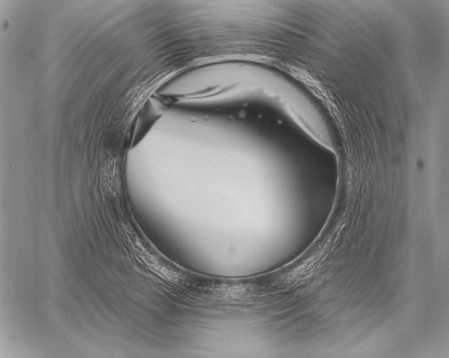 X0000058121177200510171302