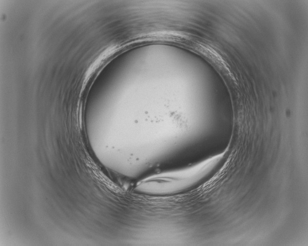 X0000058121180200510171302