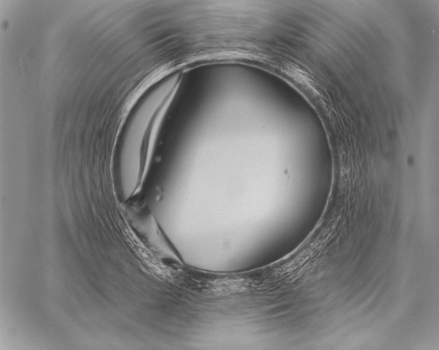 X0000058121181200510171302