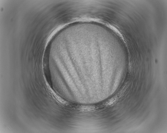 X0000058121183200510171302