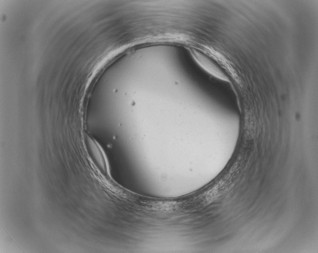 X0000058121184200510171302