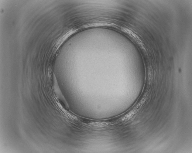 X0000058121185200510171302