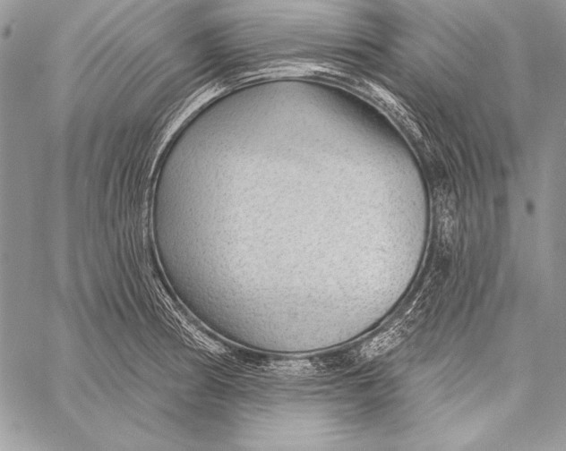 X0000058121186200510171302