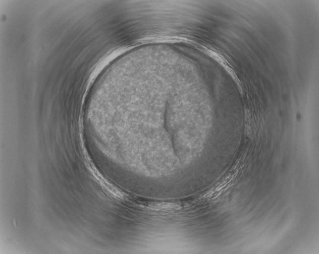 X0000058121187200510171302