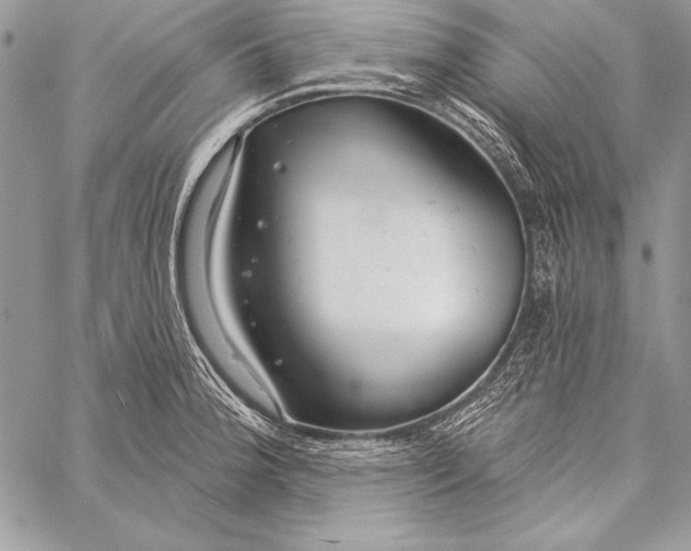 X0000058121188200510171302