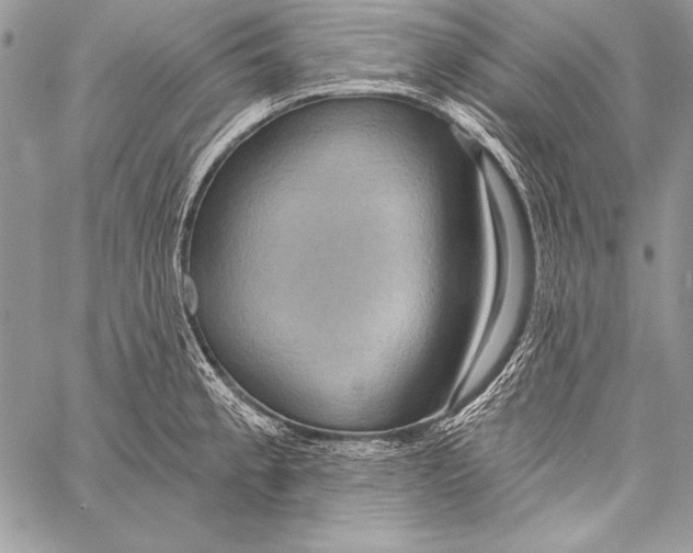 X0000058121189200510171302