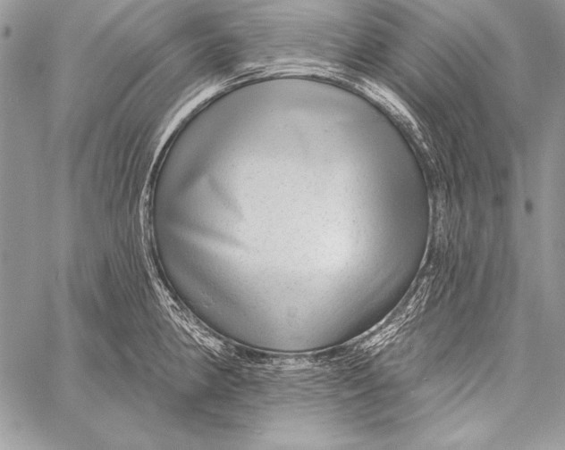 X0000058121190200510171302