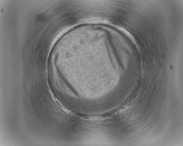 X0000058121191200510171302