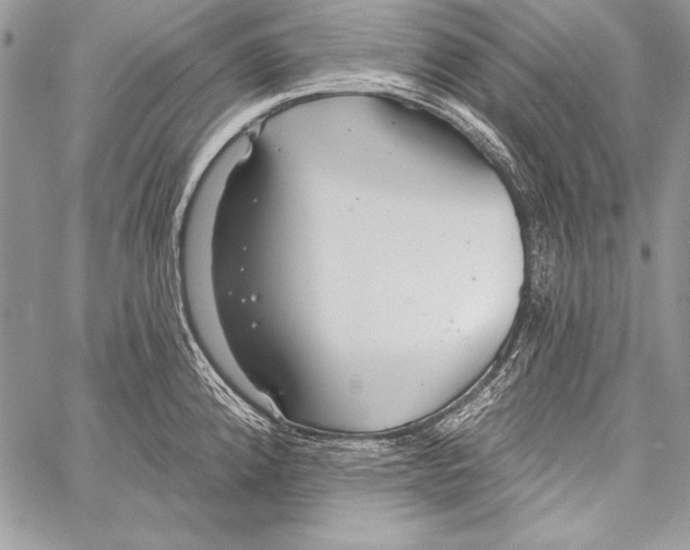 X0000058121192200510171302