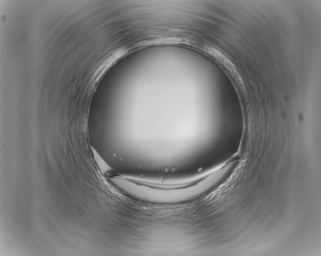 X0000058121193200510171302